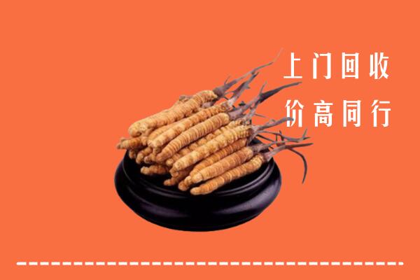 高价求购：扬州回收散虫草