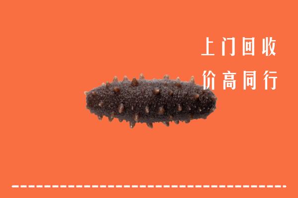 扬州回收海参