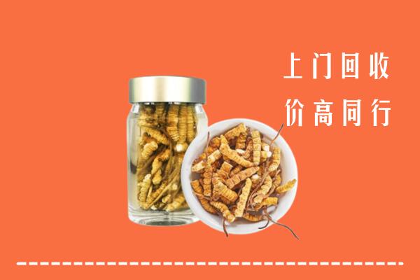 扬州回收冬虫夏草